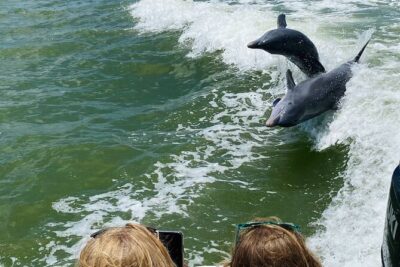 Private Shelling and Dolphin Excursion - Stop 1: Ten Thousand Islands National Wildlife Refuge and Shelling Time