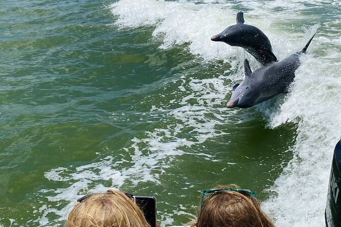 Private Shelling and Dolphin Excursion - Stop 1: Ten Thousand Islands National Wildlife Refuge and Shelling Time