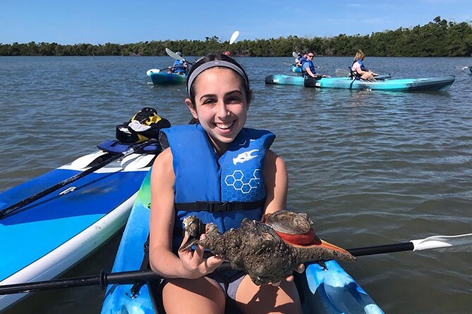 Rookery Bay Kayak Adventure – Mangroves, Wildlife & Photos - Wildlife Spotting That’s More Than Just a Checklist