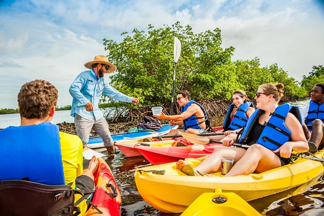 Rookery Bay Kayak Adventure – Mangroves, Wildlife & Photos - Photos, Dry Bags, and the Best Kind of Souvenir