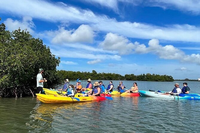 Rookery Bay Kayak Adventure – Mangroves, Wildlife & Photos - What You Pay For: Value Beyond the Paddle