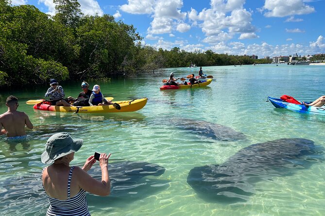 Self-Guided Island Tour: CLEAR/Standard Kayak, SUP-Bonita Springs - Key things to know before you paddle