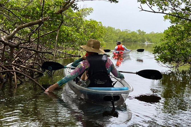 Self-Guided Island Tour: CLEAR/Standard Kayak, SUP-Bonita Springs - Price and Value: $30 for Gear, PFDs, Dry Box, and a Map