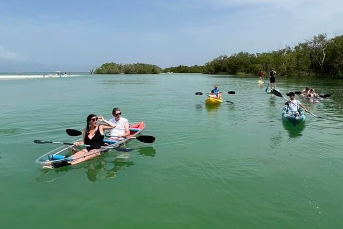 Self-Guided Island Tour: CLEAR/Standard Kayak, SUP-Bonita Springs - Wildlife Reality Check: Dolphins, Manatees, and Birds by Season