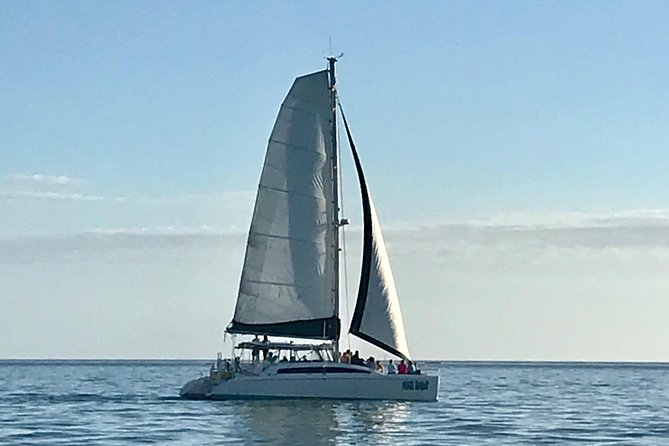 Sightseeing and Sunset Catamaran Sailing Excursion - Cool Beans in Naples: What Your Ticket Buys
