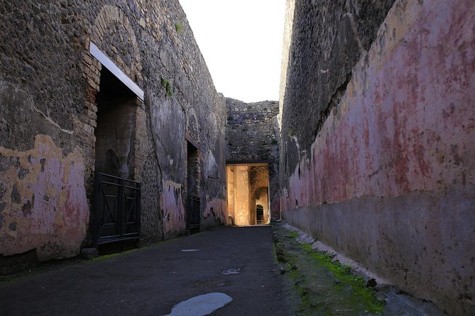 Skip the Line Guided Tour of Pompeii led by an Archaeologist - The Lupanar: erotic frescoes, context, and respectful viewing