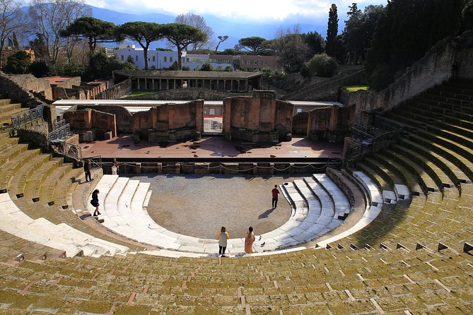Skip-the-Line Half-Day Private Tour Ancient Pompeii Highlights with Native Guide - Forum and Pompeii Archaeological Park: where public life comes back