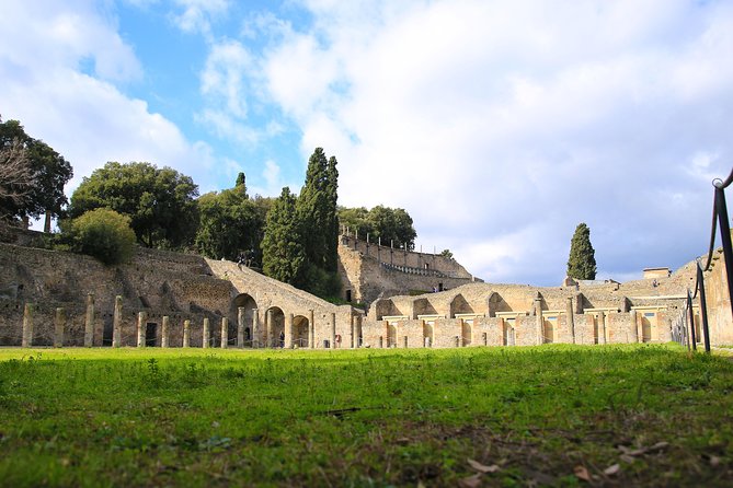 Skip-the-Line Half-Day Private Tour Ancient Pompeii Highlights with Native Guide - Hotel Vittoria meeting point and the 2-hour rhythm inside the park