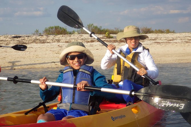 Small Group Boat, Kayak and Walking Guided Eco Tour Everglades - Key takeaways before you go