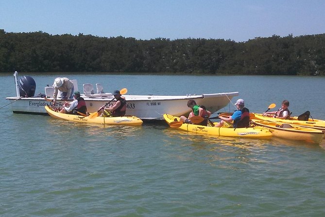 Small Group Boat, Kayak and Walking Guided Eco Tour Everglades - Where the Tour Starts: Naples Meets the Everglades Day Plan