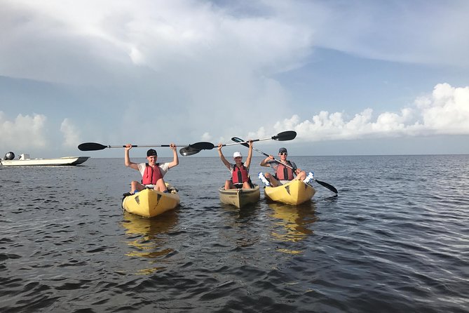 Small Group Boat, Kayak and Walking Guided Eco Tour Everglades - Kayaking to a Barrier Island Beach: Close-Up Nature Work