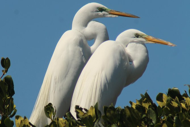 Small Group Boat, Kayak and Walking Guided Eco Tour Everglades - Chokoloskee: The Human History Stop in a Small Package