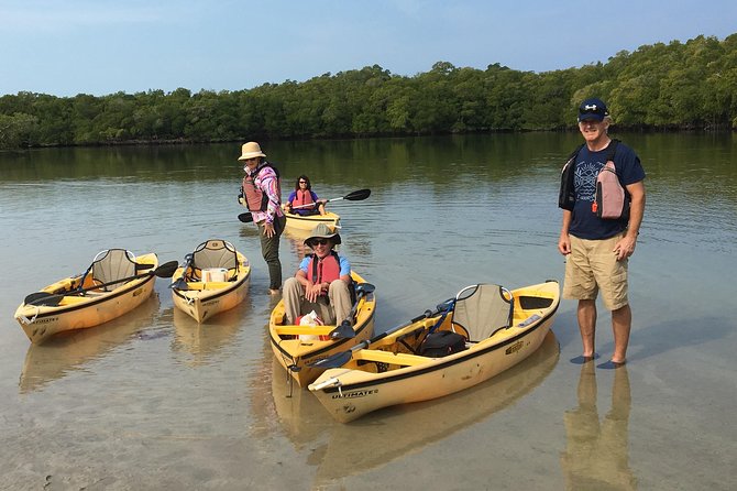 Small Group Boat, Kayak and Walking Guided Eco Tour Everglades - What to Bring and How to Prep for a Ladder Boat