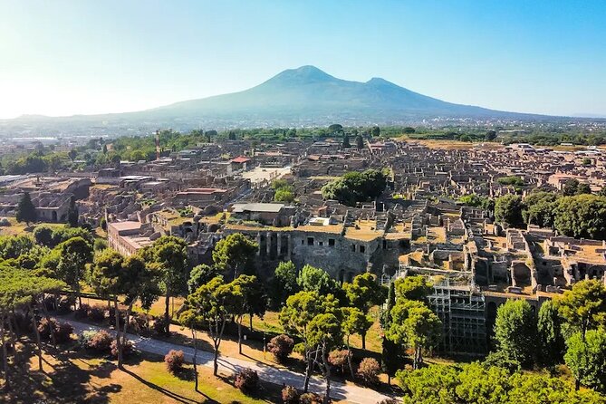 Stories of Pompeii: Small Group tour with archeology expert guide - Practical Tips That Make the Difference Inside the Park