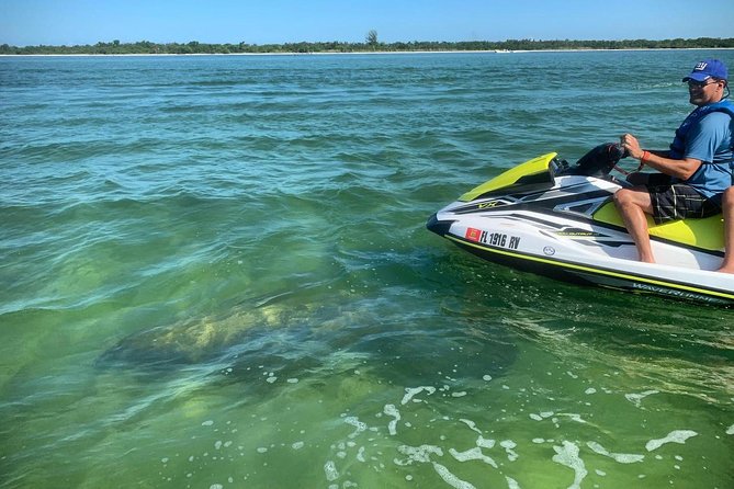 Ten Thousand Island Jet Ski Eco Tour - Marco Island - The ride itself: cruising the estuary and cutting through mangroves