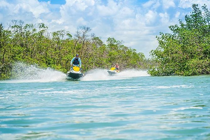 Ten Thousand Island Jet Ski Eco Tour - Marco Island - Wildlife odds: dolphins on schedule, manatees when conditions cooperate