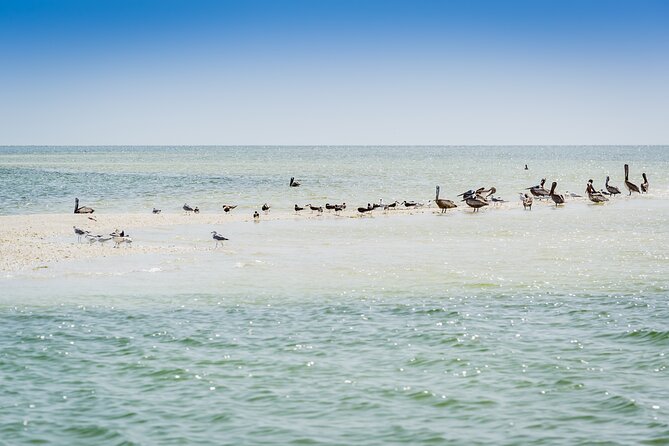 Ten Thousand Island Jet Ski Eco Tour - Marco Island - Speed, safety, and why the guide pacing matters