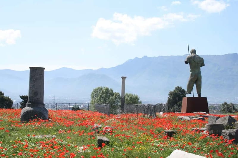 TRAMVIA -Da Naples: Pompei Ruins and Vesuvio Transfer by Bus - Who should book this transfer?