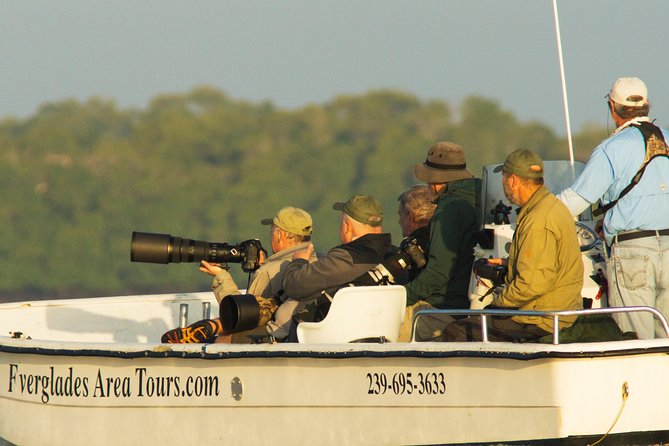 Two-Hour Everglades Dolphin, Manatee and Birding Boat Tour - Key things I’d watch for on this tour