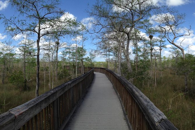 Western Everglades Adventure Tour - Lake Trafford Airboat Ride: Birds, Turtles, and Alligators Per Acre