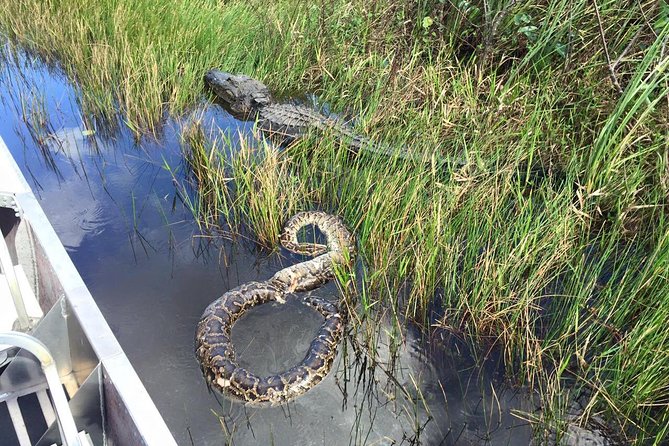 Western Everglades Adventure Tour - Stop 1: CREW Marsh Trails and the Corkscrew Watershed Walk